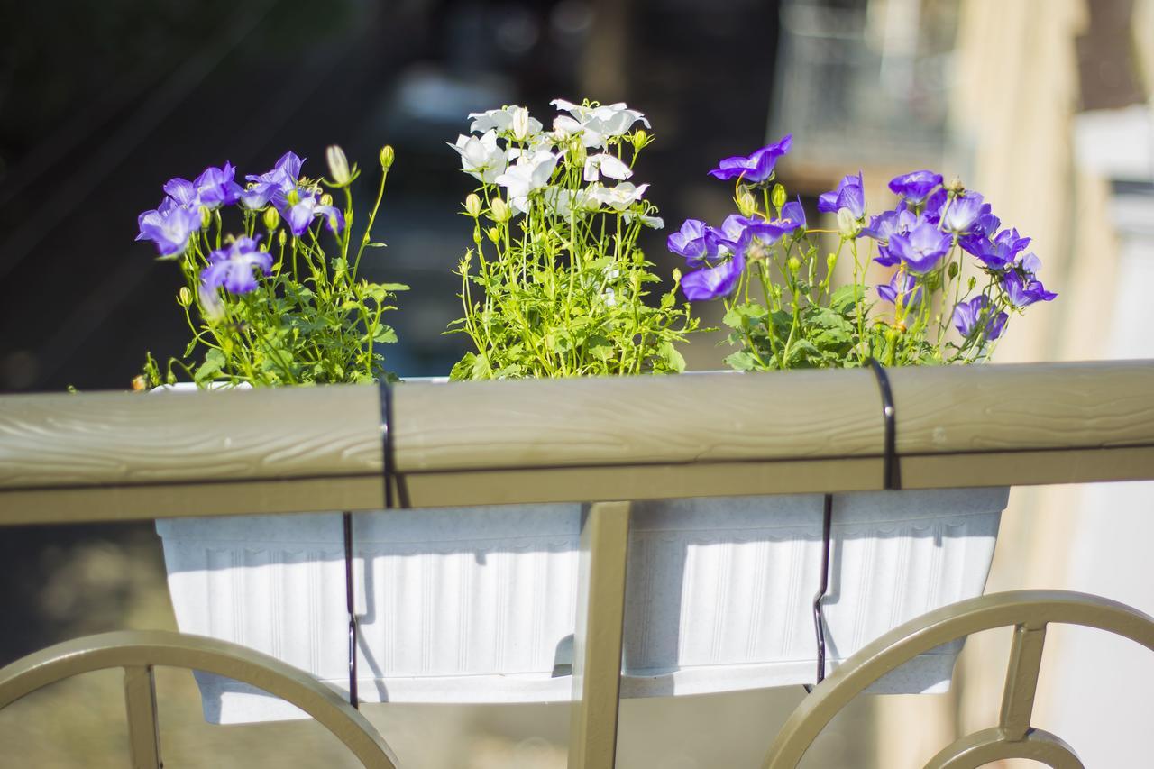 Stay Boutique Hotel Τυφλίδα Εξωτερικό φωτογραφία